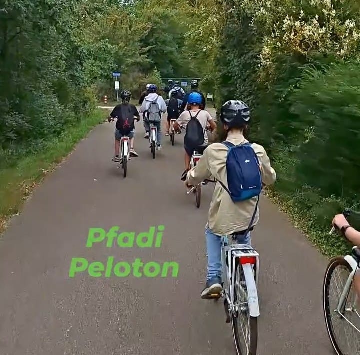 Pfadis